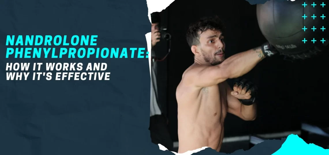 Nandrolone Phenylpropionate